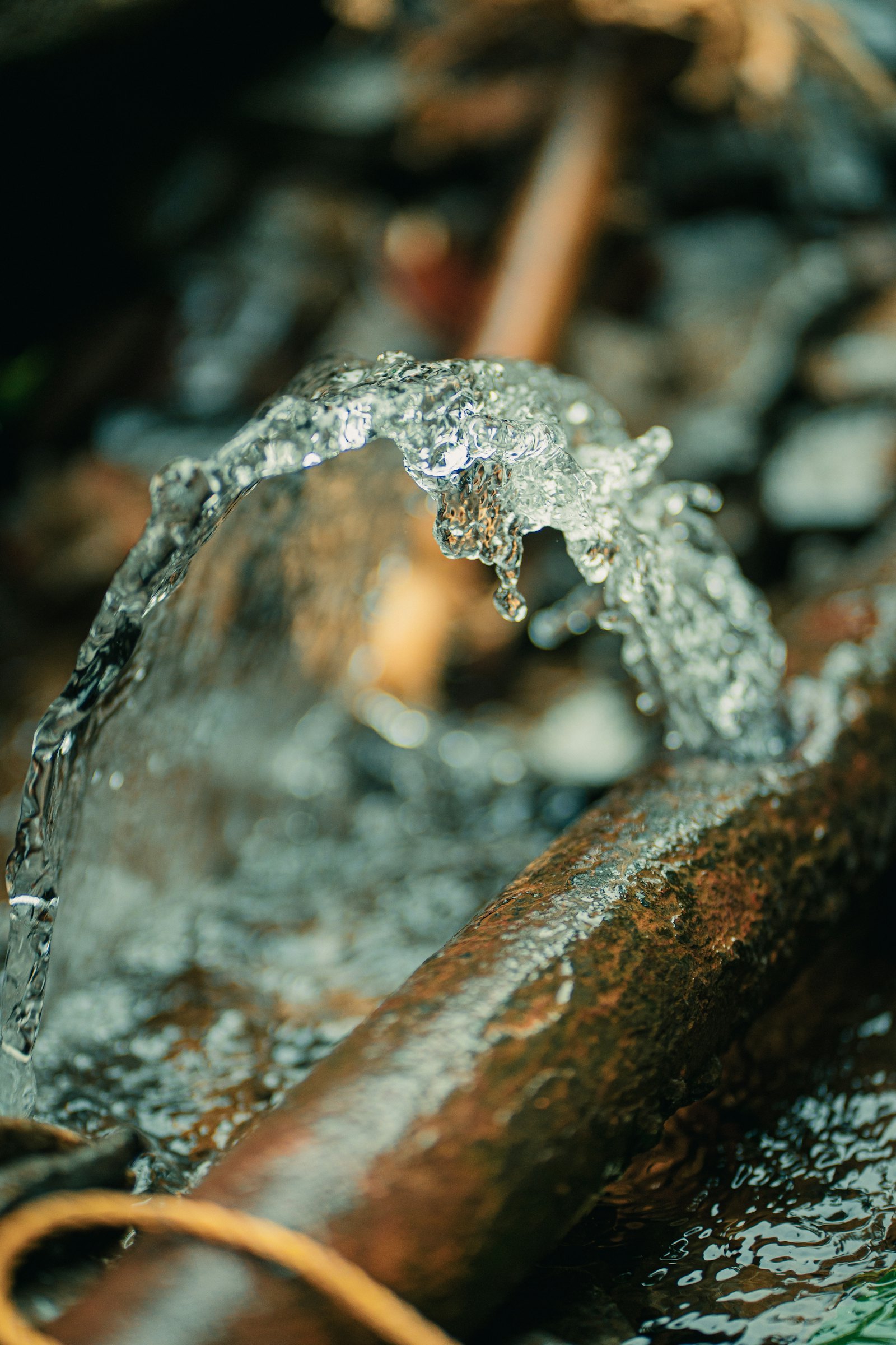 North Side Plumbing — plumber in Bensenville, IL