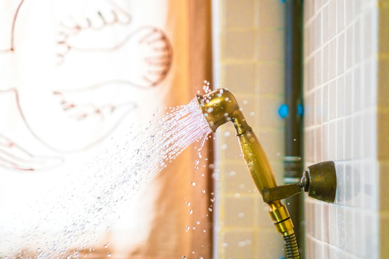 Ogden Plumbing — plumber in Sycamore, IL